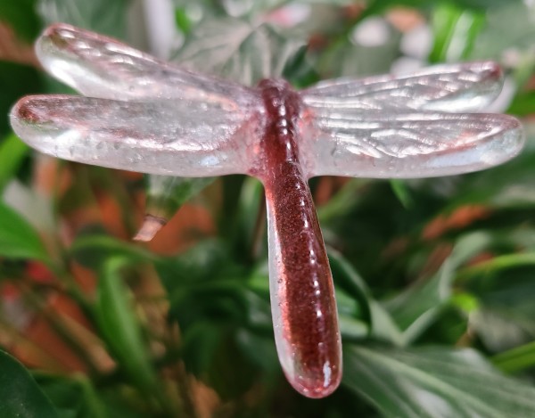 Plant Pick-Dragonfly, Small in Cranberry with Clear Wings by Kathy Kollenburn