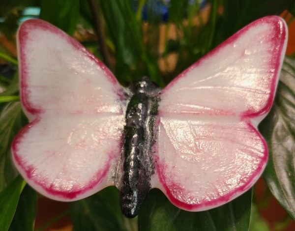 Plant Pick-Butterfly, Large in White with Cranberry Edges by Kathy Kollenburn