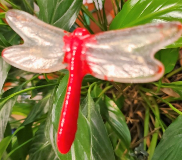 Plant Pick-Dragonfly, Small in Red with Clear Wings by Kathy Kollenburn