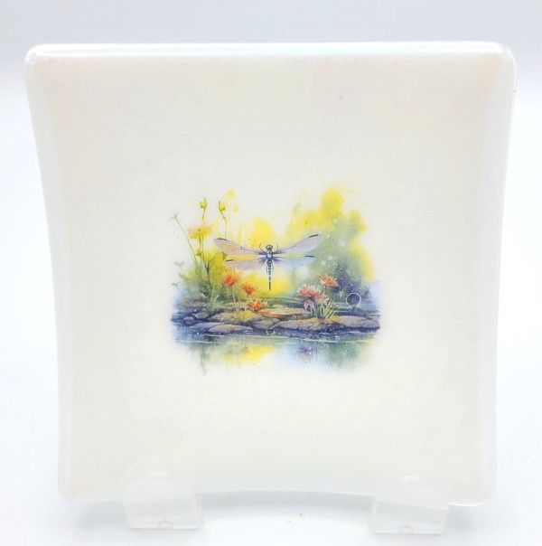 Small Plate-White Irid with Dragonfly Above Pond by Kathy Kollenburn