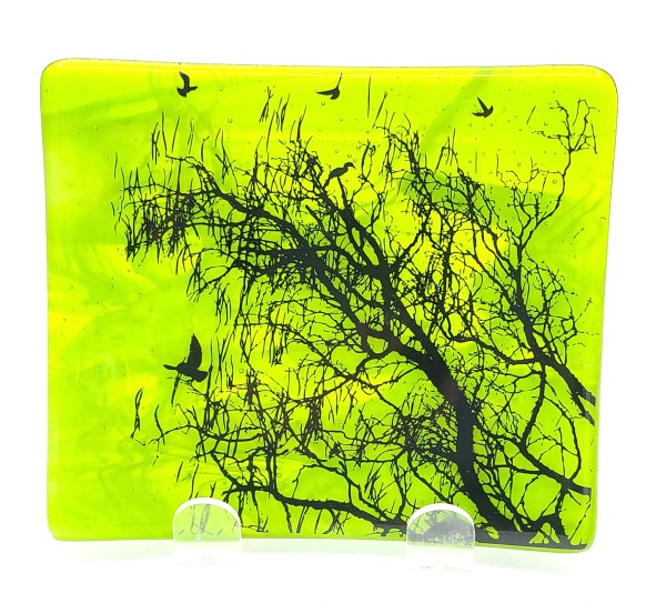 Plate with Branch of Birds on Green/Yellow Streaky by Kathy Kollenburn