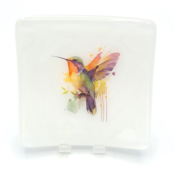 Small Plate with Painterly Hummingbird on White by Kathy Kollenburn