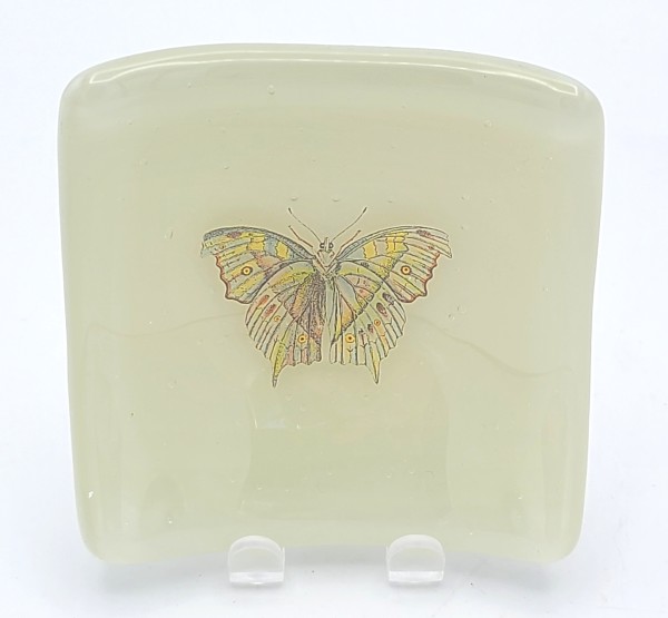 Trinket Plate-Butterfly on Pale Gray by Kathy Kollenburn