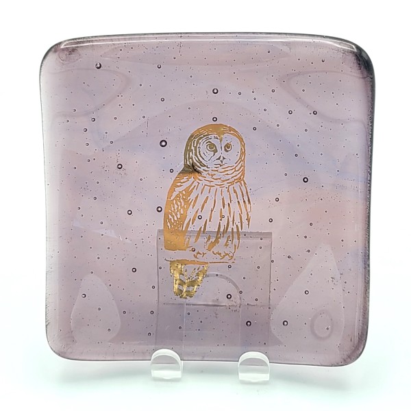 Small Plate-Lt Violet with Gold Owl by Kathy Kollenburn