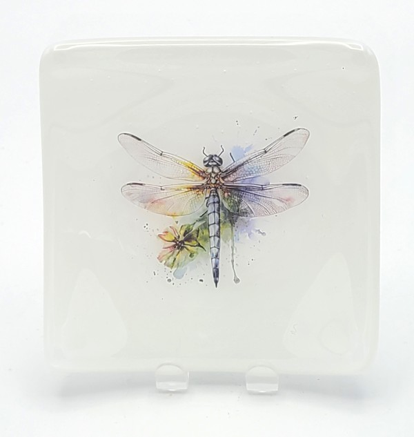 Small Plate with Painterly Dragonfly on White by Kathy Kollenburn
