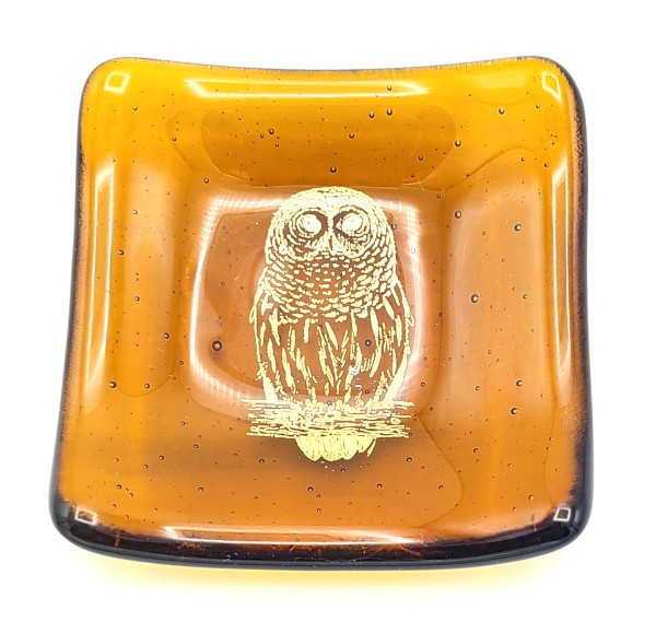 Trinket Dish-Gold Owl on Amber by Kathy Kollenburn