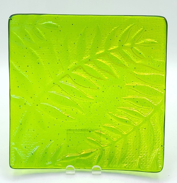 Plate-Spring Green Irid with Fern Impressions by Kathy Kollenburn