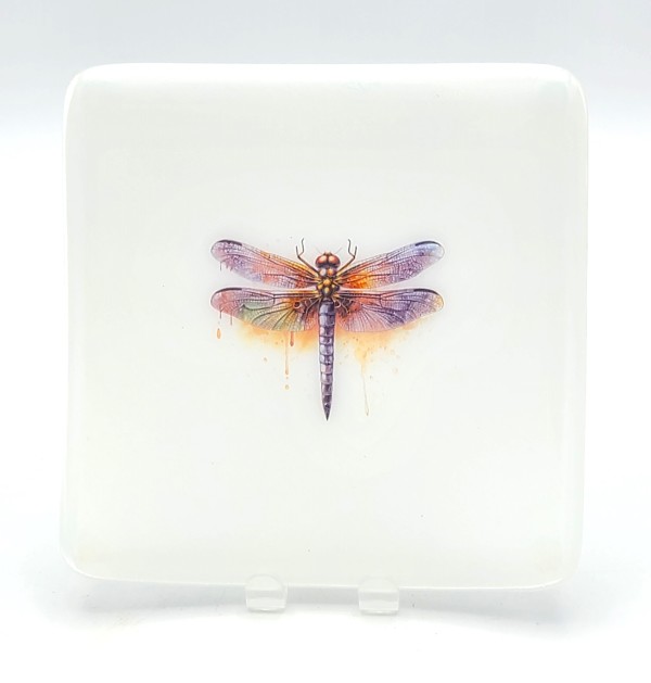 Plate with Dragonfly on White by Kathy Kollenburn