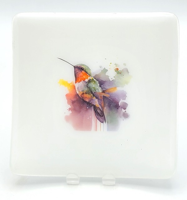 Plate with Watercolor Hummingbird on White by Kathy Kollenburn