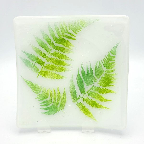 Plate with Green Ferns by Kathy Kollenburn
