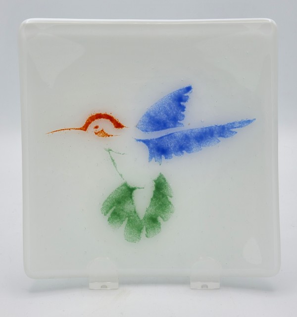 Plate-Hummingbird on White by Kathy Kollenburn