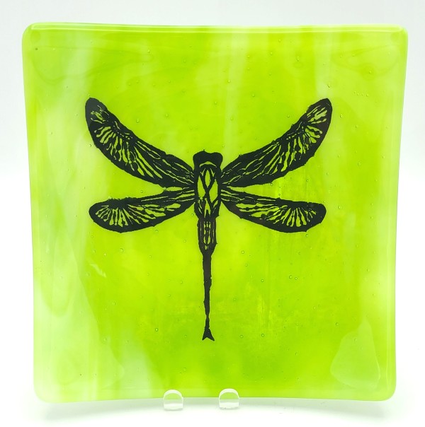 Plate-Dragonfly on Green/White Streaky by Kathy Kollenburn