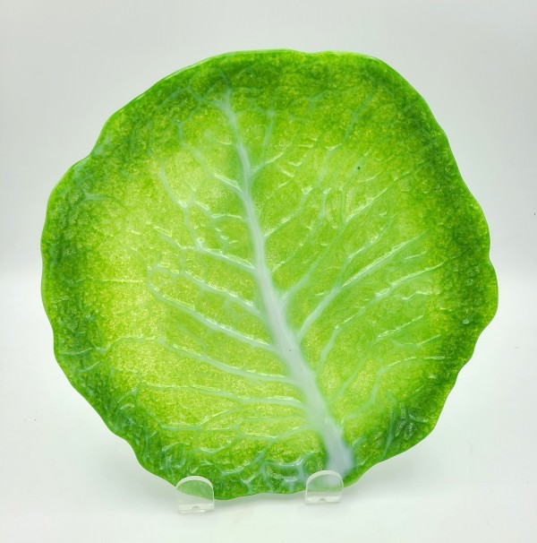 Cabbage Plate by Kathy Kollenburn