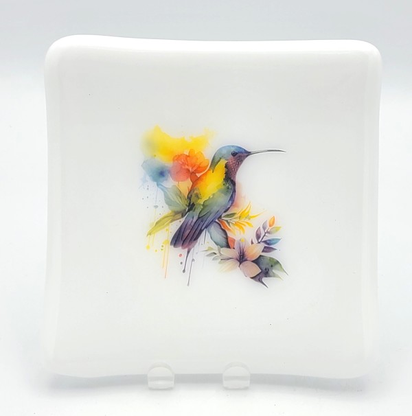 Small Plate-Hummingbird Watercolor on White by Kathy Kollenburn