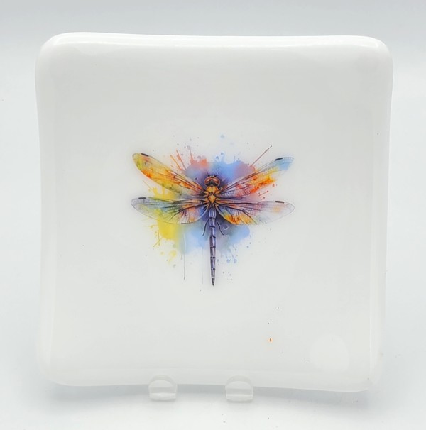 Small Plate-Watercolor Dragonfly on White by Kathy Kollenburn