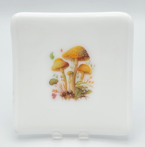 Small Plate-Forest Mushrooms on White by Kathy Kollenburn