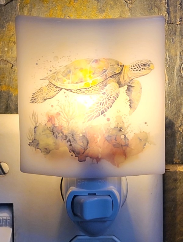 Nightlight-Sea Turtle by Kathy Kollenburn