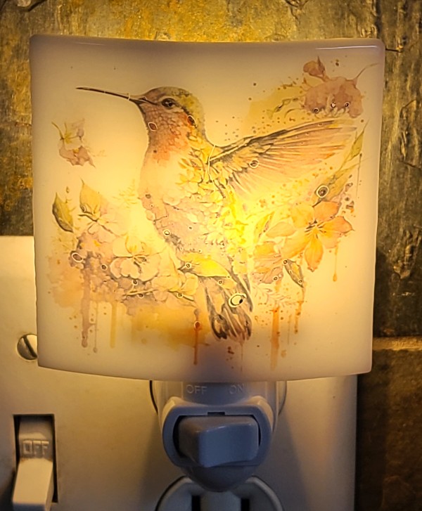 Nightlight with Hummingbird by Kathy Kollenburn