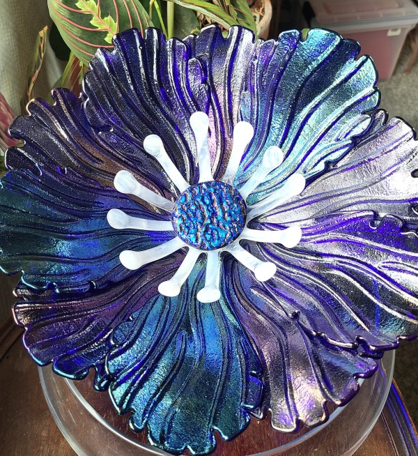 Garden Flower-Cobalt Irid with White Streaky Stamens and Dichroic Center by Kathy Kollenburn