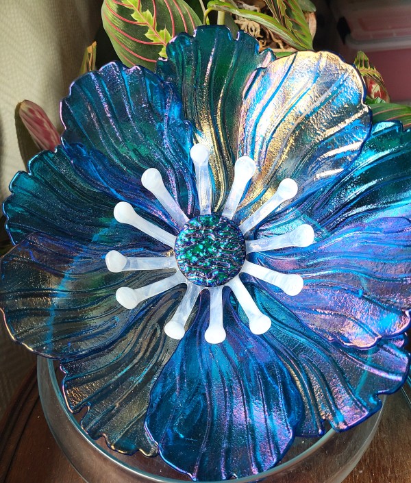 Garden Flower-Turquoise Irid with White Stamens and Dichroic Center by Kathy Kollenburn