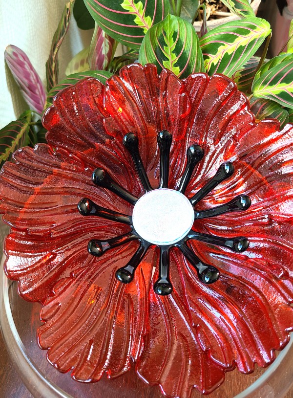 Garden Flower-Orange Transparent with Periwinkle Bowl and Dichroic Center by Kathy Kollenburn