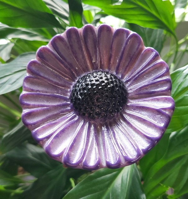 Plant Pick-Purple Coneflower, Large by Kathy Kollenburn