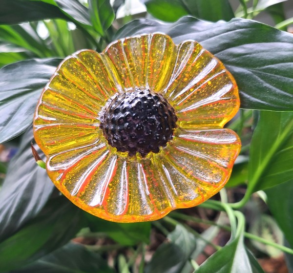 Plant Pick-Yellow Coneflower by Kathy Kollenburn