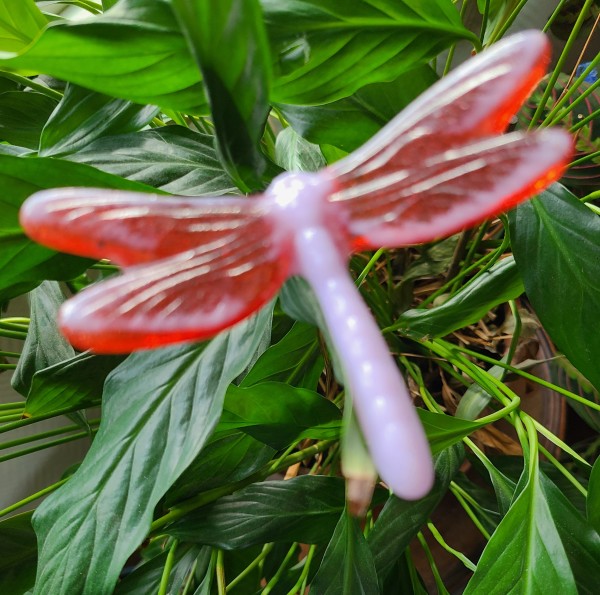 Plant Pick-Dragonfly, Pink/Red, Medium by Kathy Kollenburn