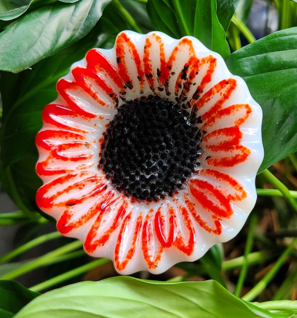 Plant Pick-Red/White Sunflower, Small by Kathy Kollenburn