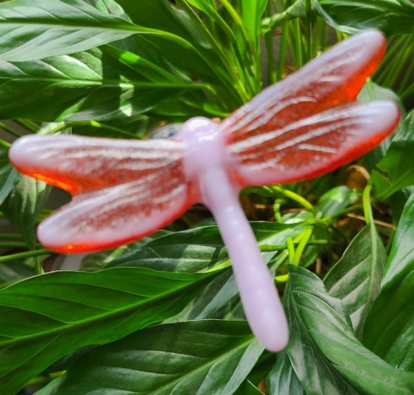 Plant Pick-Dragonfly, Pink/Red, Small by Kathy Kollenburn
