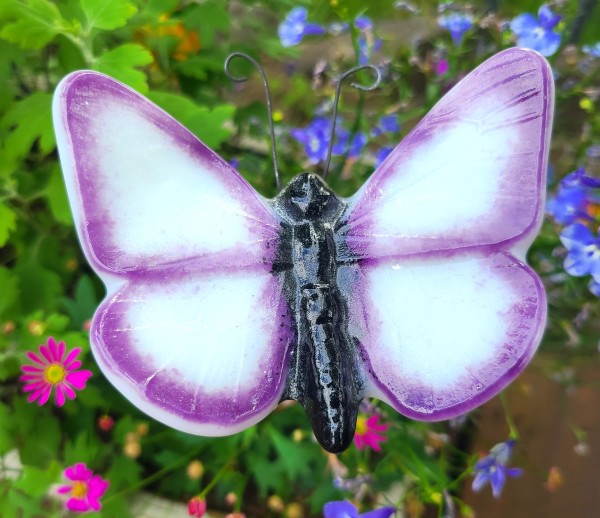 Plant Pick-Butterfly, Large, White with Fuschia Edges by Kathy Kollenburn