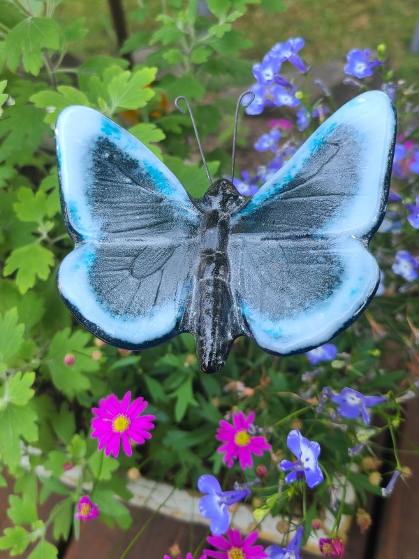 Plant Pick-Butterfly, Large in Peacock with White Edges by Kathy Kollenburn