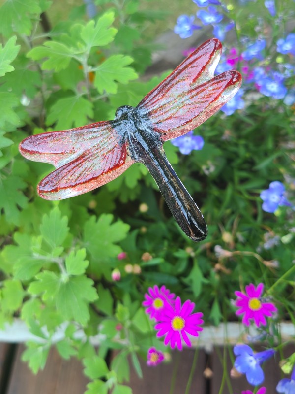 Plant Pick-Dragonfly, Small in Corals by Kathy Kollenburn