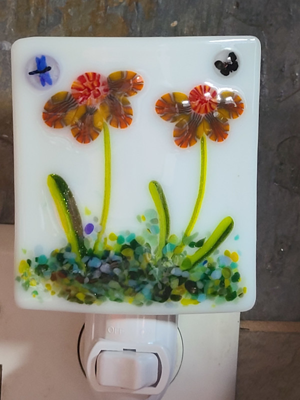 Nightlight-Echinecea by Kathy Kollenburn