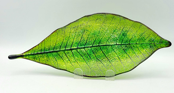 Cloud Forest Magnolia Dish by Kathy Kollenburn