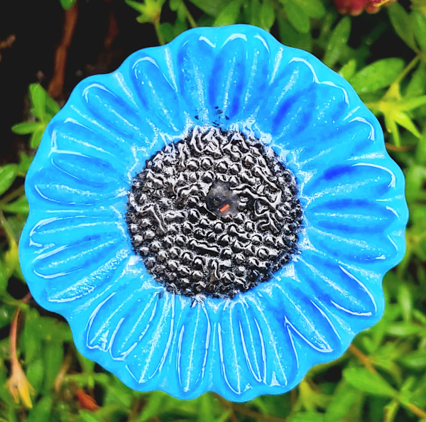Plant Pick-Blue Flower by Kathy Kollenburn