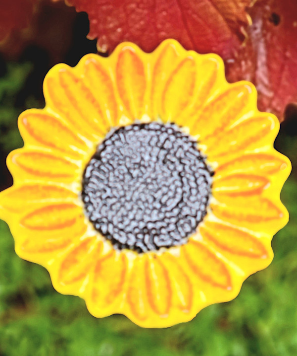 Plant Pick-Yellow Sunflower by Kathy Kollenburn