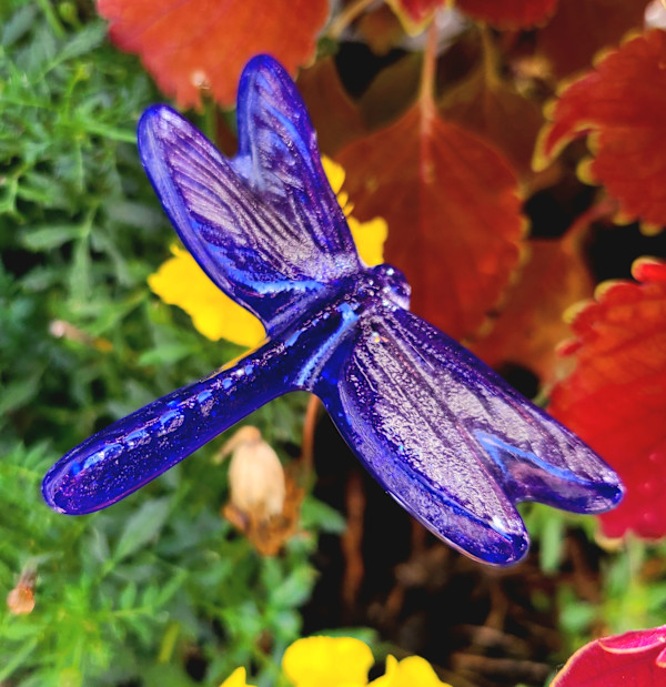 Plant Pick-Dragonfly, Small in Cobalt by Kathy Kollenburn