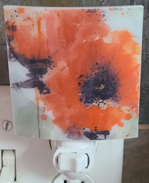 Nightlight-Poppies by Kathy Kollenburn