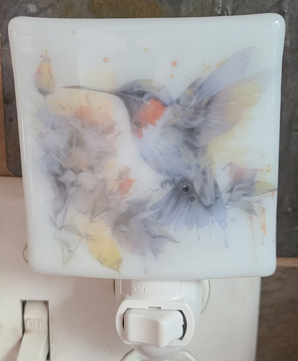 Nightlight-Hummingbird by Kathy Kollenburn