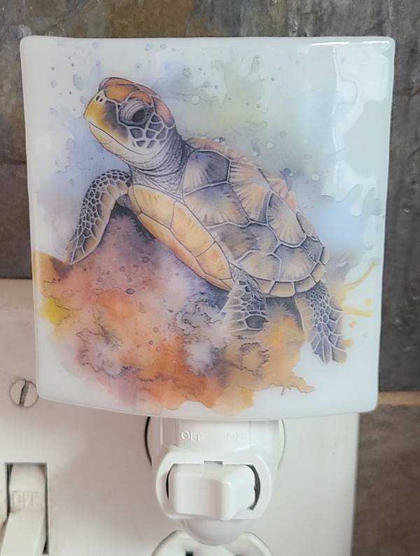 Nightlight-Sea Turtle by Kathy Kollenburn