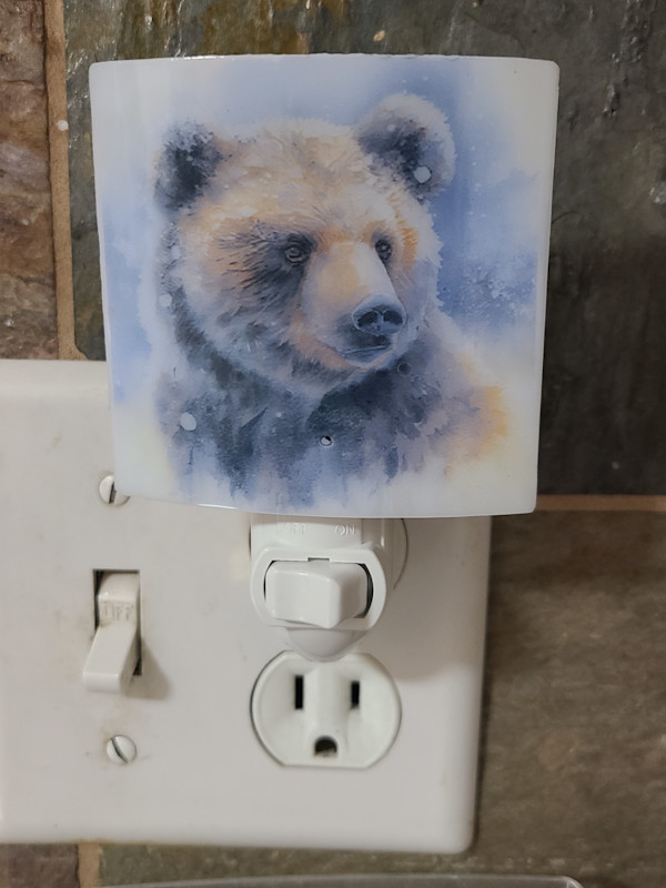 Nightlight-Snowy Bear Head by Kathy Kollenburn