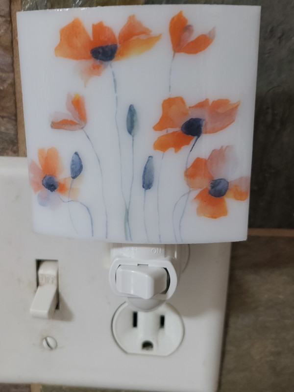 Nightlight-Poppies by Kathy Kollenburn