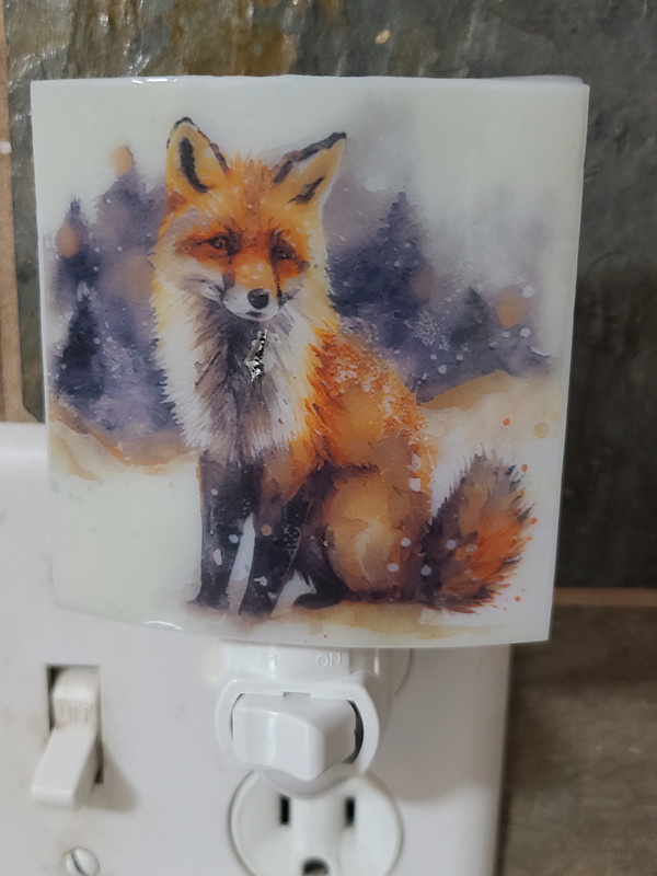 Nightlight-Snowy Fox by Kathy Kollenburn