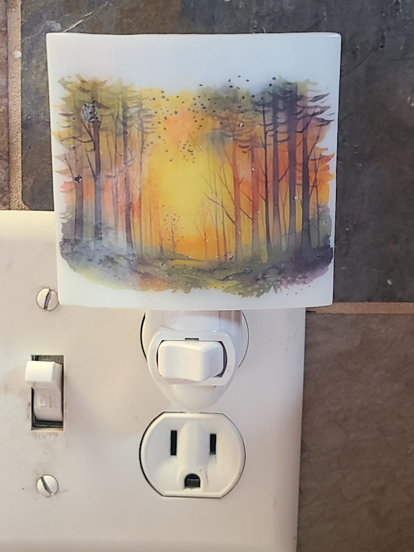 Nightlight-Forest Sunset by Kathy Kollenburn