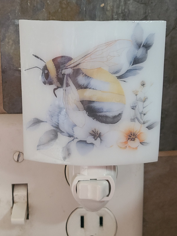 Nightlight-Honey Bee by Kathy Kollenburn