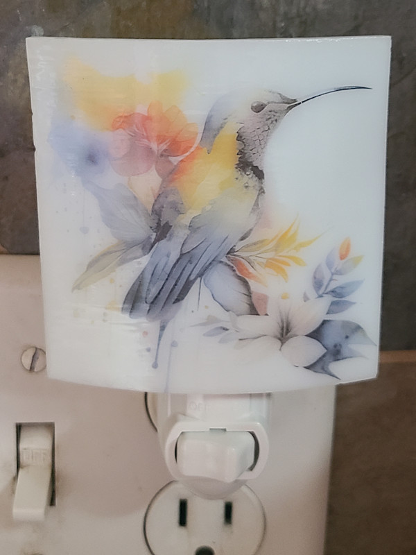 Nightlight-Hummingbird on Branch with Flowers by Kathy Kollenburn