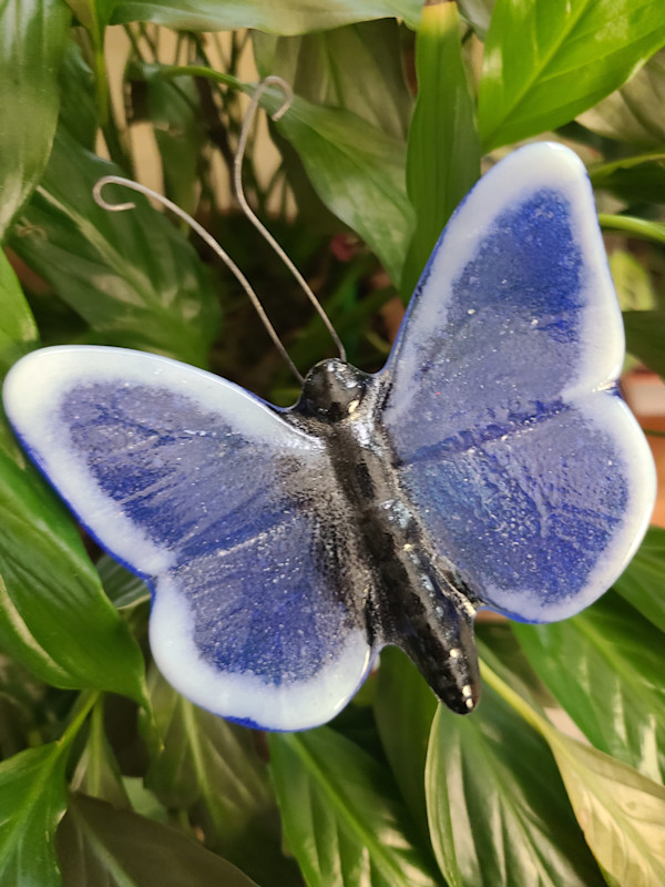 Plant Pick-Butterfly, Large, Blue/White by Kathy Kollenburn