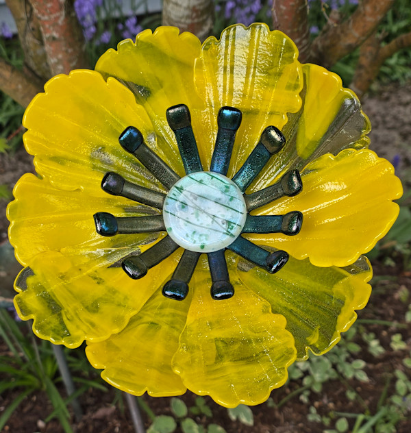 Garden Flower-Yellow Streakyt with Adventurine Green Irid Stamens and Dichroic Center by Kathy Kollenburn