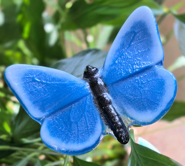 Plant Pick-Butterfly, Large in Blue/White by Kathy Kollenburn